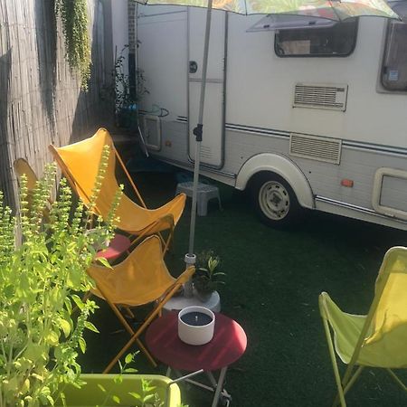 Gardencaravan near Ghent in green area Buitenkant foto