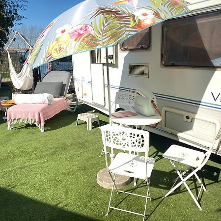 Gardencaravan near Ghent in green area Buitenkant foto