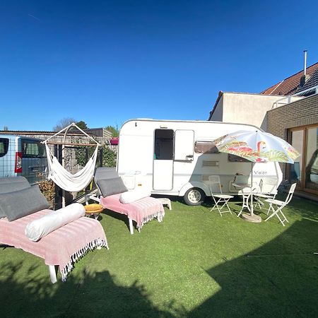 Gardencaravan near Ghent in green area Buitenkant foto