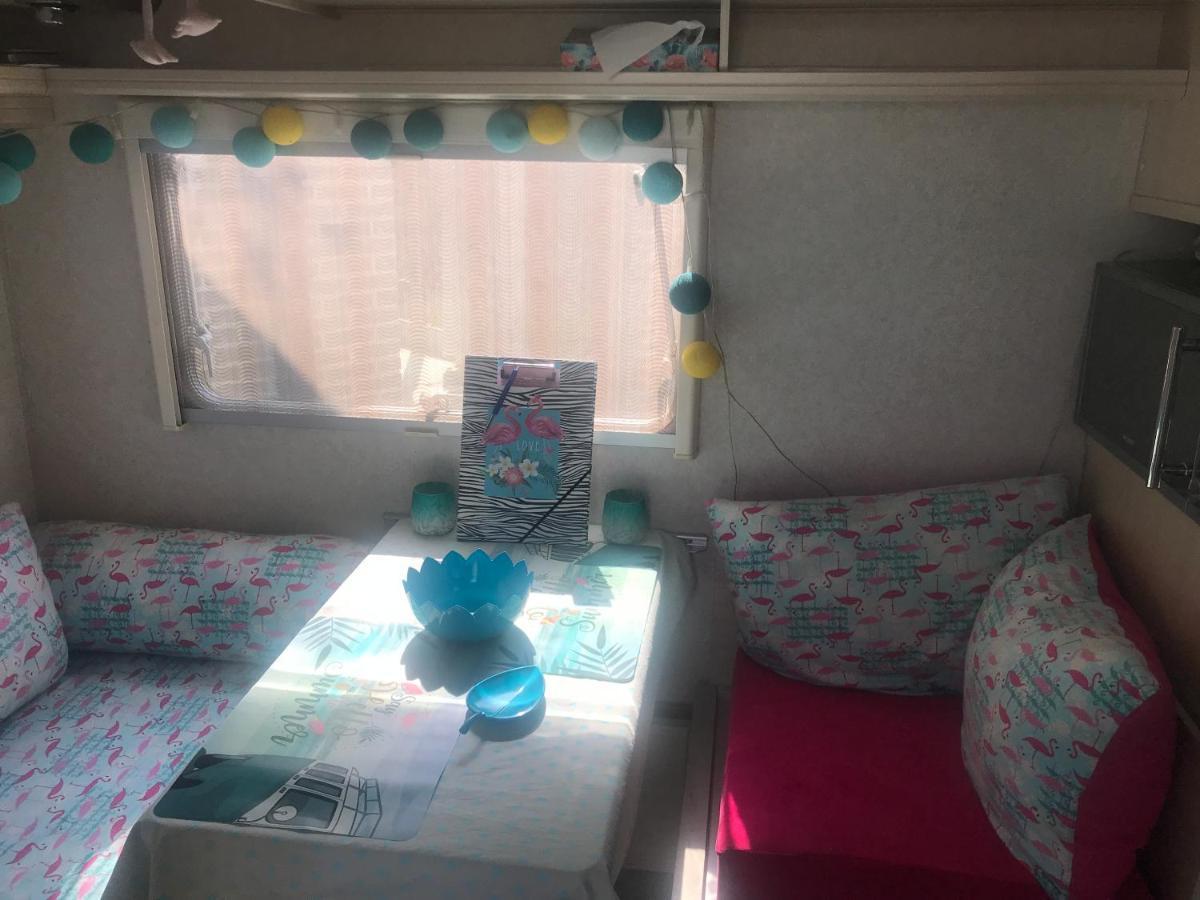 Gardencaravan near Ghent in green area Buitenkant foto