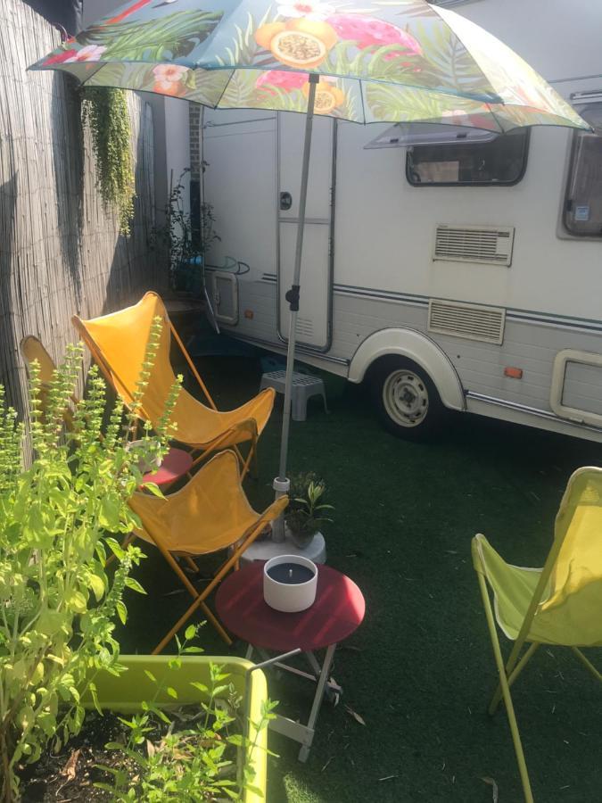 Gardencaravan near Ghent in green area Buitenkant foto