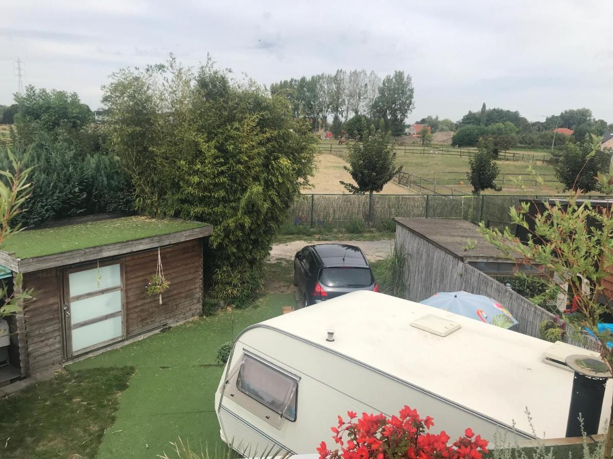 Gardencaravan near Ghent in green area Buitenkant foto