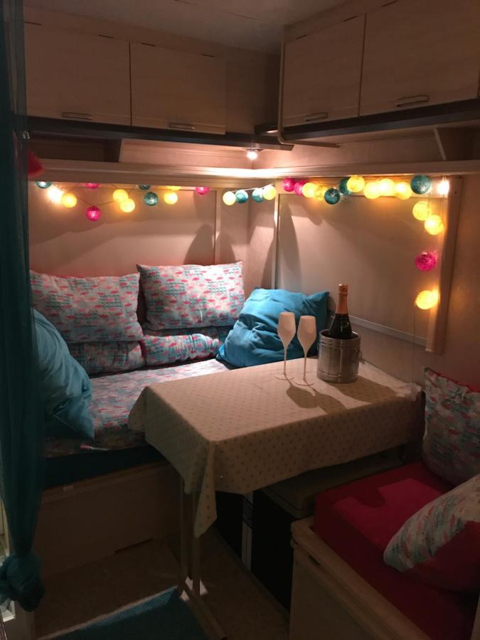 Gardencaravan near Ghent in green area Buitenkant foto